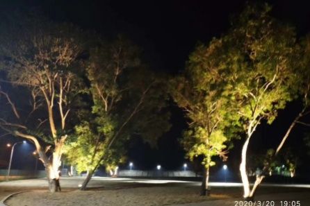 Iluminación de jardín